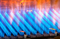 Trefdraeth gas fired boilers